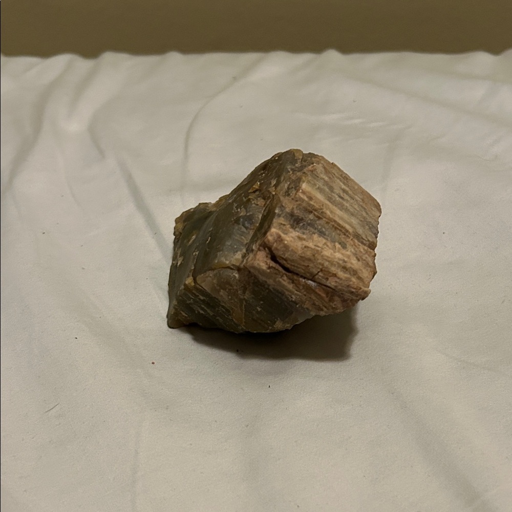 Petrified Wood